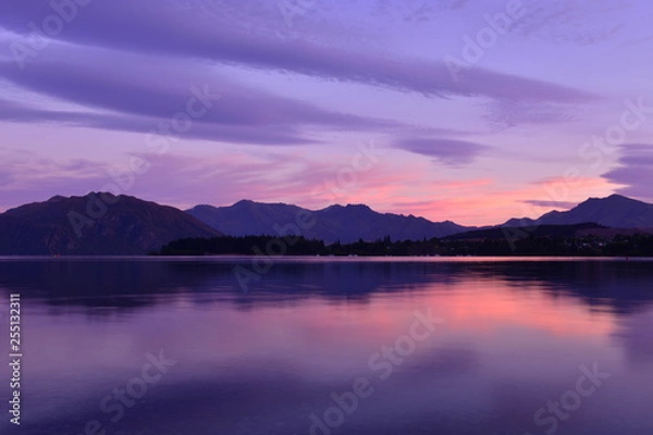 Obraz ニュージーランドのワナカツリー