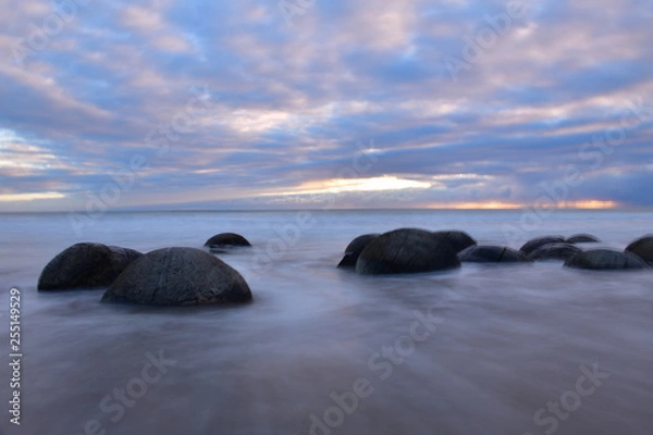 Obraz ニュージーランドのモエラキボルダー