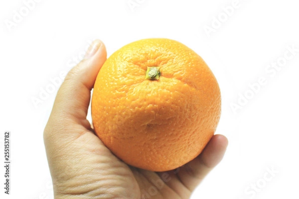 Obraz Orange fruit put on hand palm with white background	