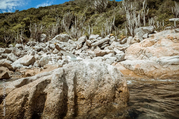 Obraz Arraial do Cabo, Rio de Janeiro - RJ