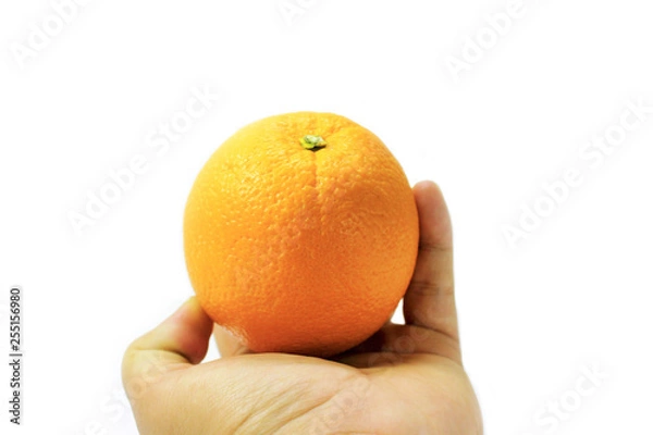 Obraz Put orange fruit on hand palm with white background
