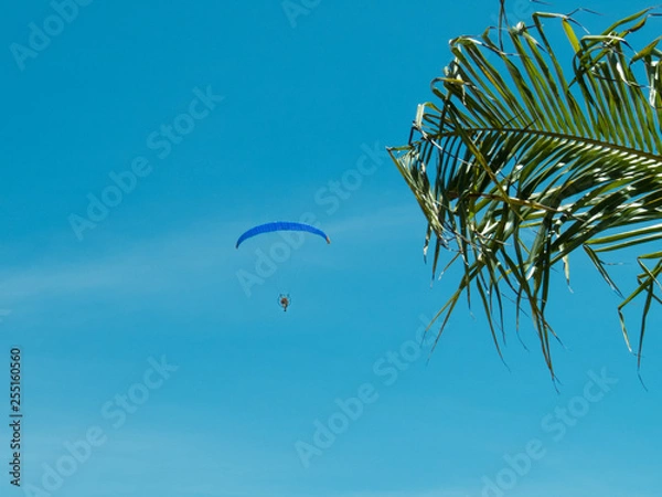Obraz Paraglider