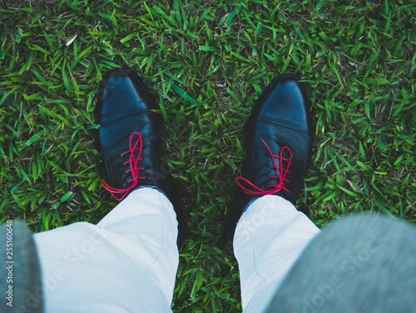 Obraz Shoes with red lacing