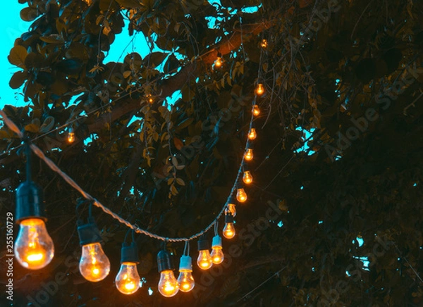 Obraz Lightbulbs detail