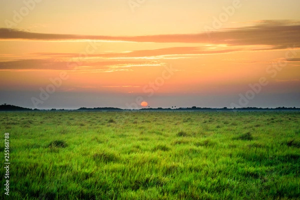 Obraz Amanecer llanero