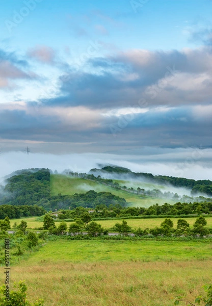 Obraz きじひき高原