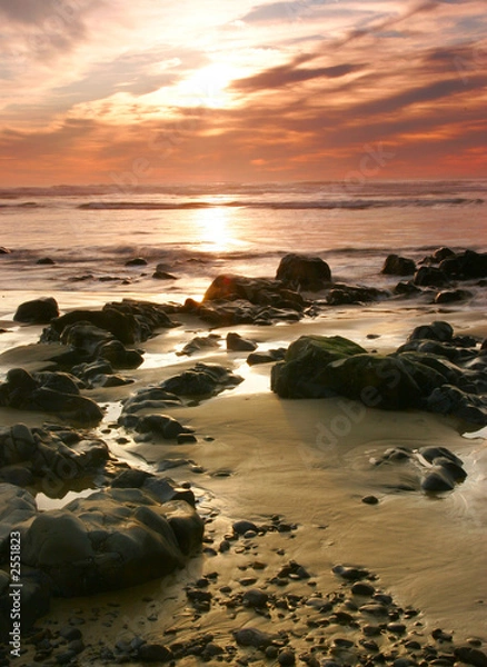 Obraz oregon coast portraits