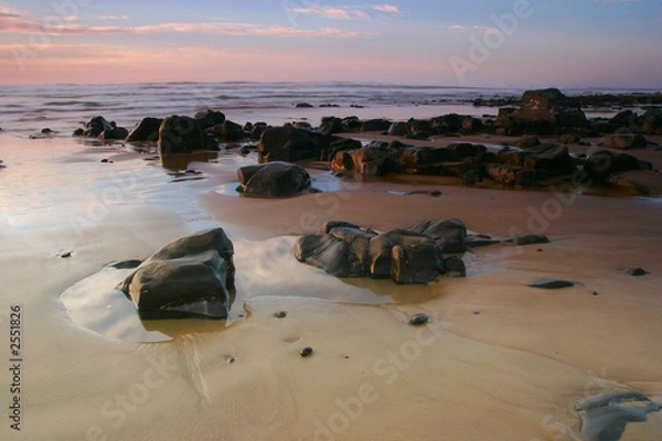Obraz oregon coast portraits
