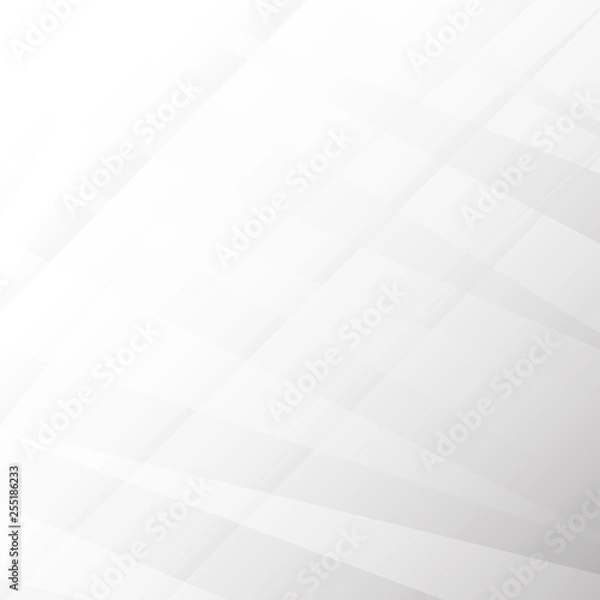 Fototapeta Background white abstract texture gray elegant wallpaper, soft clean wave template with bright line pattern, Geometric design