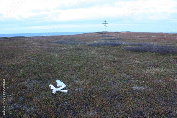 Obraz The bones of the animal among the Heather and the cross of memory on the beach.