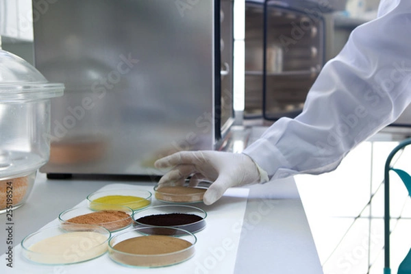 Fototapeta Olive extractions in a laboratory