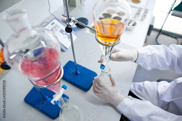 Fototapeta Olive extractions in a laboratory