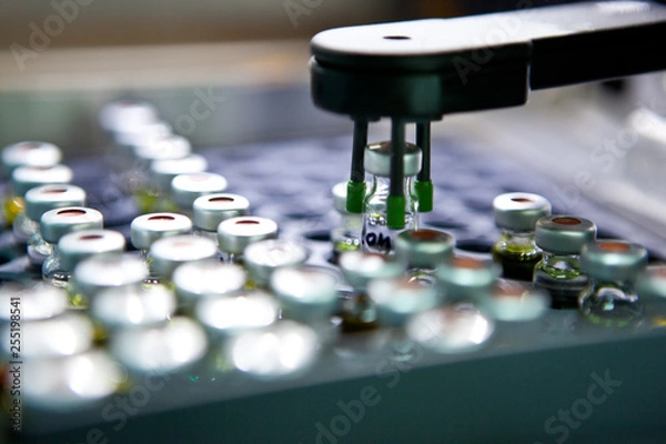 Fototapeta Olive extractions in a laboratory