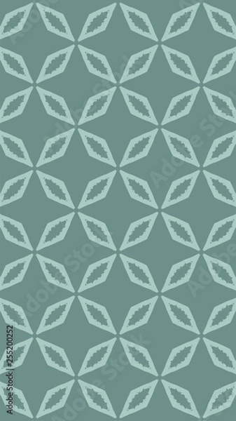 Fototapeta Ornate geometric pattern and two-tone abstract background