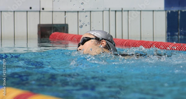 Obraz スイミング