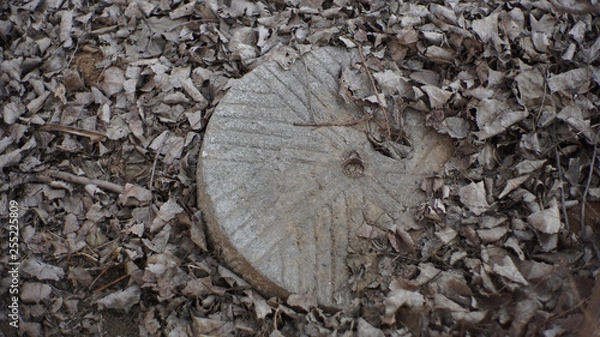 Obraz millstone