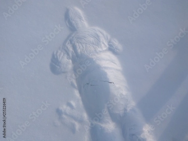 Obraz Отпечаток