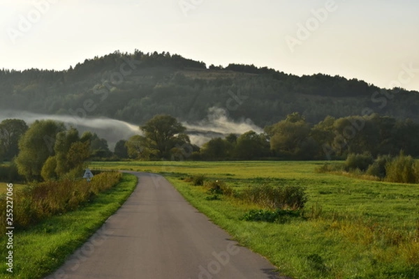 Obraz road in the countryside