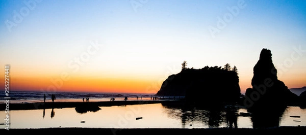 Fototapeta Rose Beach sundown 1