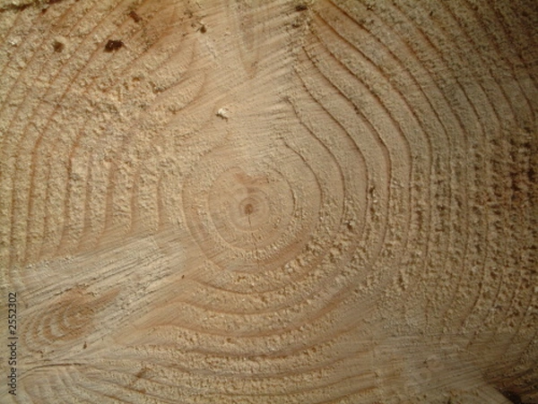 Fototapeta timber background