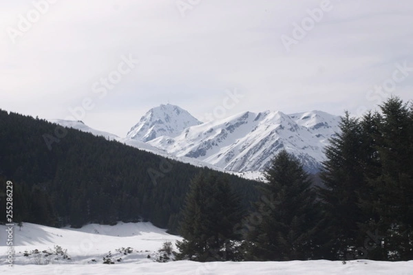 Obraz Payolle Hautes Pyrénées-5