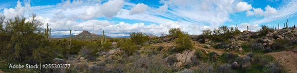 Obraz Panorama of Brown's Ranch in Scottsdale Arizona