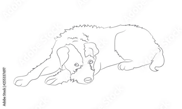 Obraz dog lies, lines, vector,