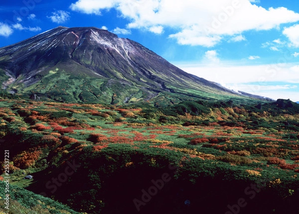 Obraz 秋の大雪山