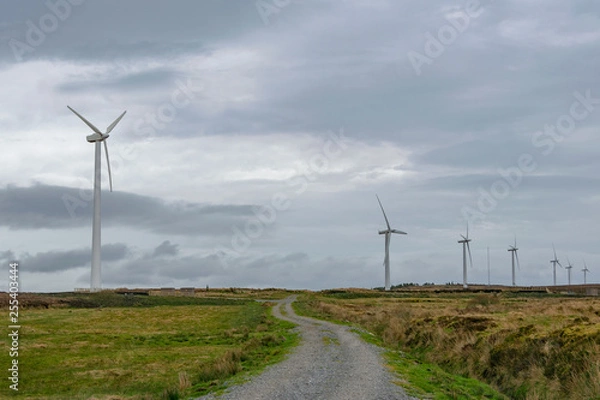 Obraz wind turbines in the field