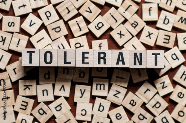 Obraz Tolerant word concept