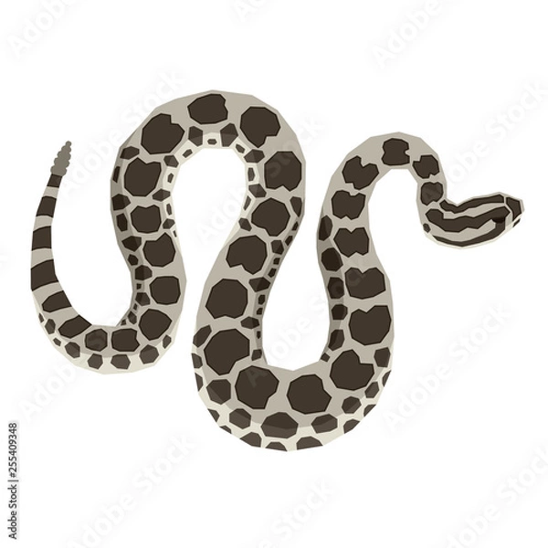 Obraz Wild animals collection Massasauga Rattlesnake Geometric style Isolated object