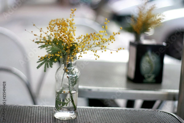 Fototapeta flowers in a vase on table