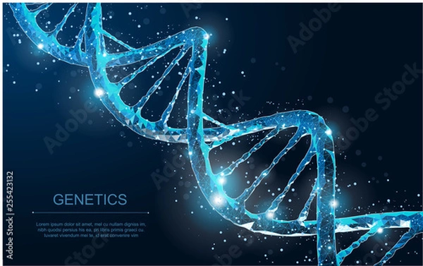 Fototapeta DNA. Abstract 3d polygonal wireframe DNA molecule helix spiral on blue.