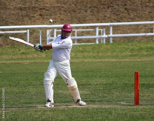 Obraz cricket