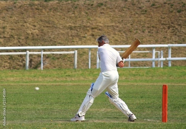 Obraz cricket