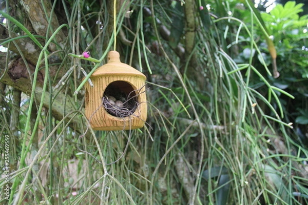 Fototapeta bird house