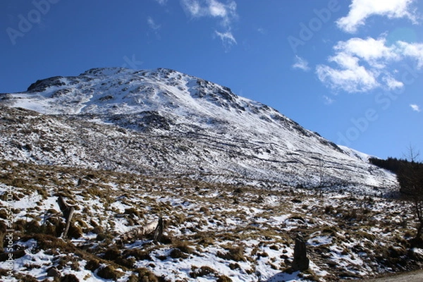 Obraz Sunny snow days