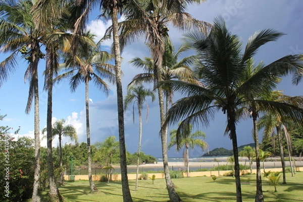 Obraz sun and storm 2