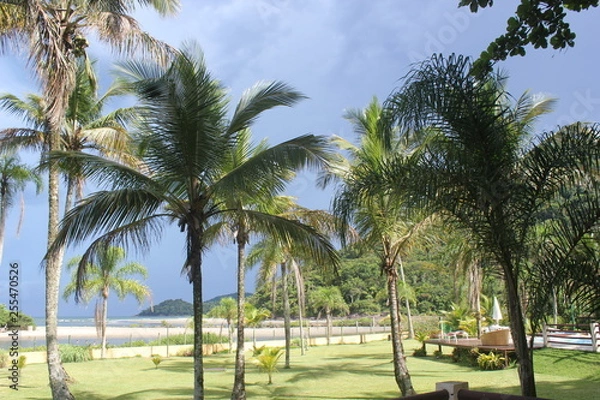 Fototapeta sun and storm