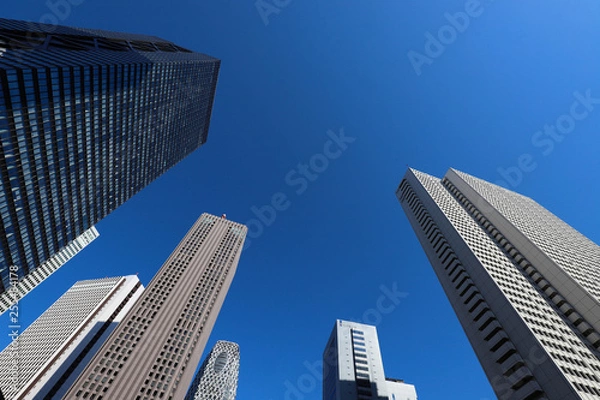 Fototapeta 新宿の高層ビル