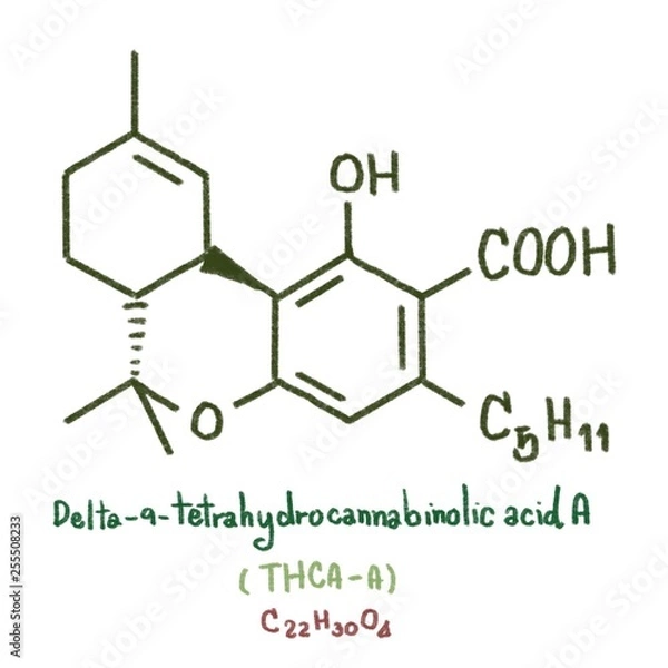 Fototapeta Cannabielsoin (CBE) type: the five CBE-type cannabinoids, which are arti- facts formed from CBD, are CBE (Cannabielsoin) and its acid precursors A (cannabielsoic acid A) and B (cannabielsoic acid B).