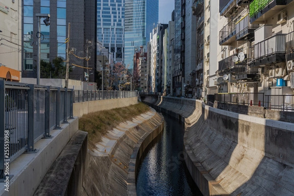 Obraz 渋谷川の今