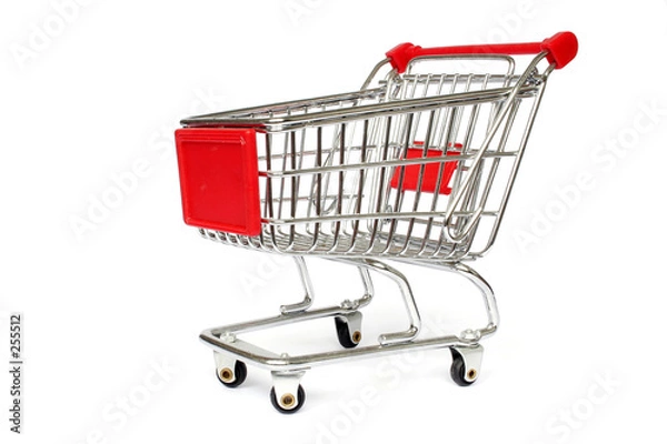 Obraz carrito de la compra