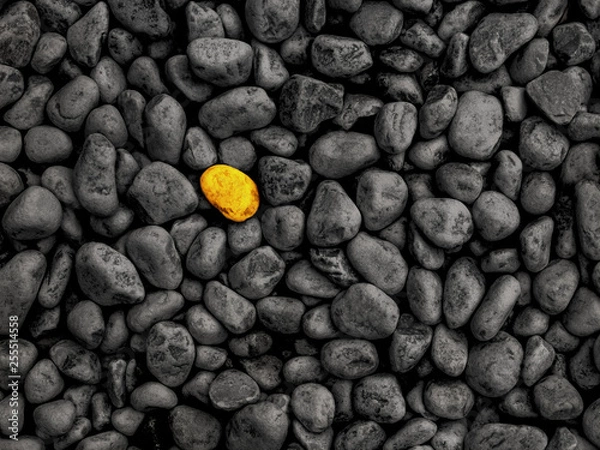 Fototapeta Unikalny kamień wyróżnia się koncepcją tłumu -
