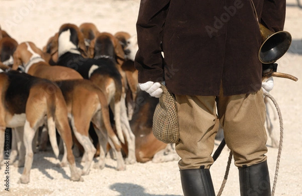 Obraz chasse à courre