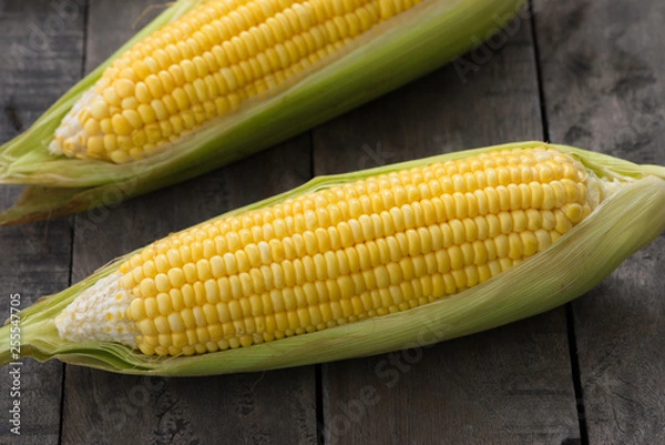 Obraz law corn on wood