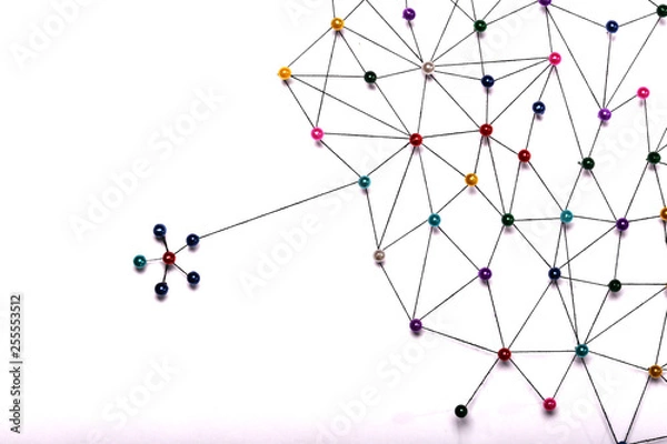 Fototapeta Linking entities. Network, networking, social media, internet co