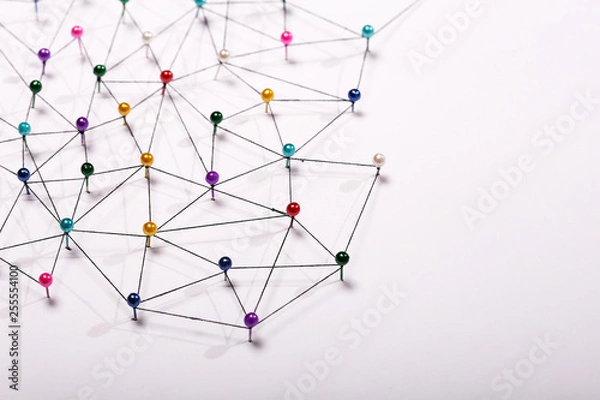 Fototapeta Linking entities. Network, networking, social media, internet co
