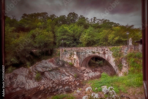 Obraz Puente sobre el río Argoza
