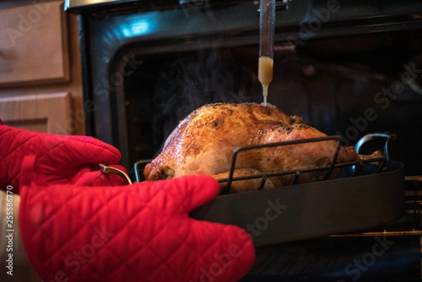 Fototapeta Turkey being basted in a large pan being pulled out of the oven with red oven mits